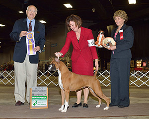  Best of Breed Specialty